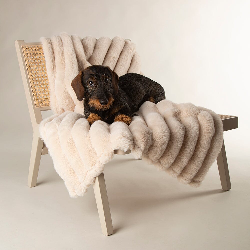 Scruffs Aspen Pet Blanket, Cream