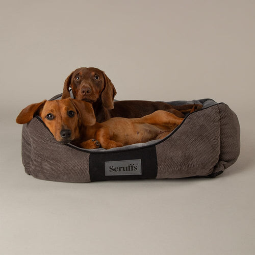 Scruffs Chester Box Dog Bed, Medium, Graphite Grey