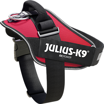 Julius-K9 IDC Powerharness Size M — Black